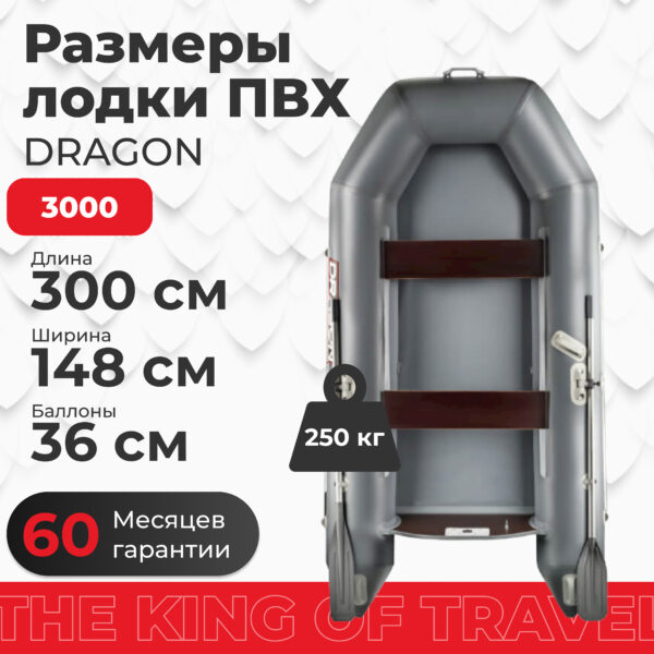 Фото лодки DRAGON 3000